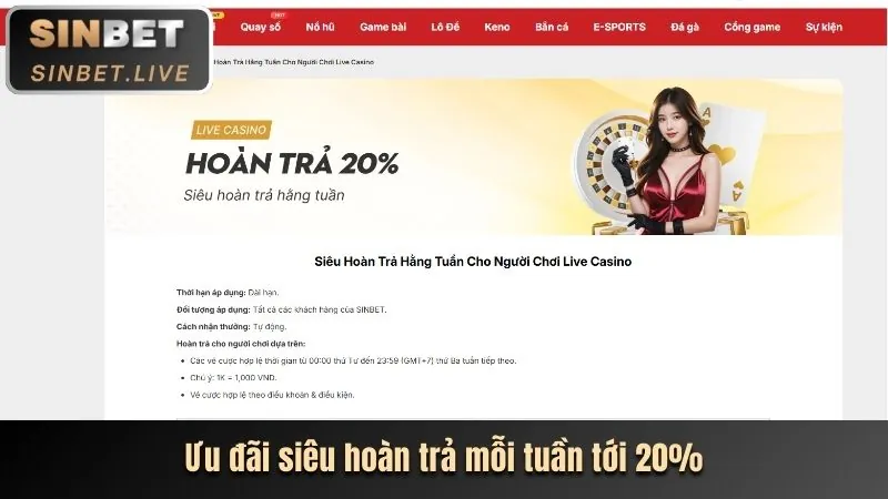 Hoàn trả tiền cược hàng tuần cho cá cược thể thao tại tin24